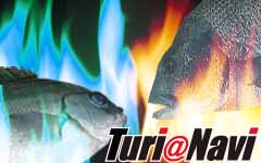 Turi@Navi